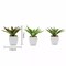Green 3 Assorted 5" Faux Realistic Aloe Succulent Plants Off White Pots